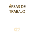 Homologa tus estudios Abogados - Áreas de trabajo